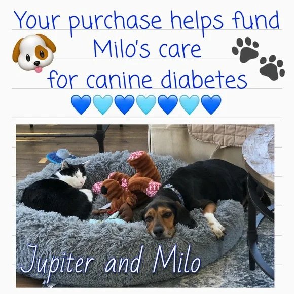 Aqua Wishing Ball Earrings - Picture 7 of 7